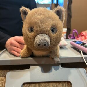 Jellycat Swinley Boar.  NWT-Authentic Fast Shipping